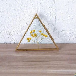 Herbarium Gold Brass Glass Floating Frame BNIB